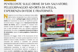 parrocchia san bernardino molfetta - giornale giugno 2026 pellegrinaggio san salvatore orta atella vescovo festa san bernardino missione digitale catechismo formazione 2026